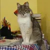 Отзыв от Ева Голованова